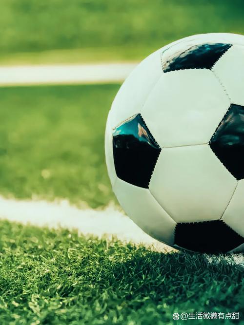 足球教练战术分析